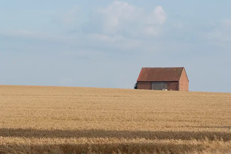 Agenturen aus ländlichen Regionen