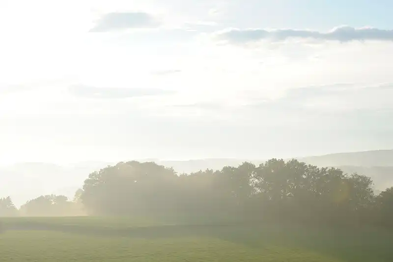 Agenturen aus ländlichen Regionen